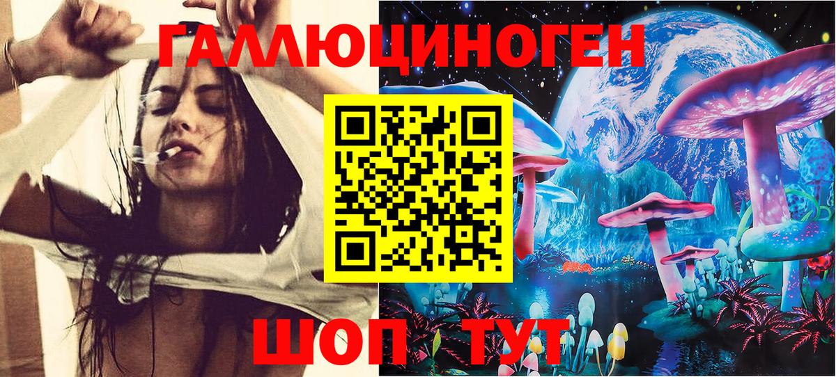 Псилоцибиновые грибы Psilocybine cubensis Горно-Алтайск