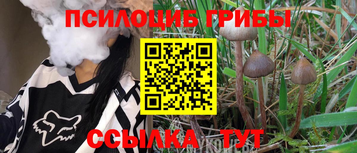 Галлюциногенные грибы ЛСД  Галлюциногенные грибы прущие грибы  Вход с VPN  Горно-Алтайск 
